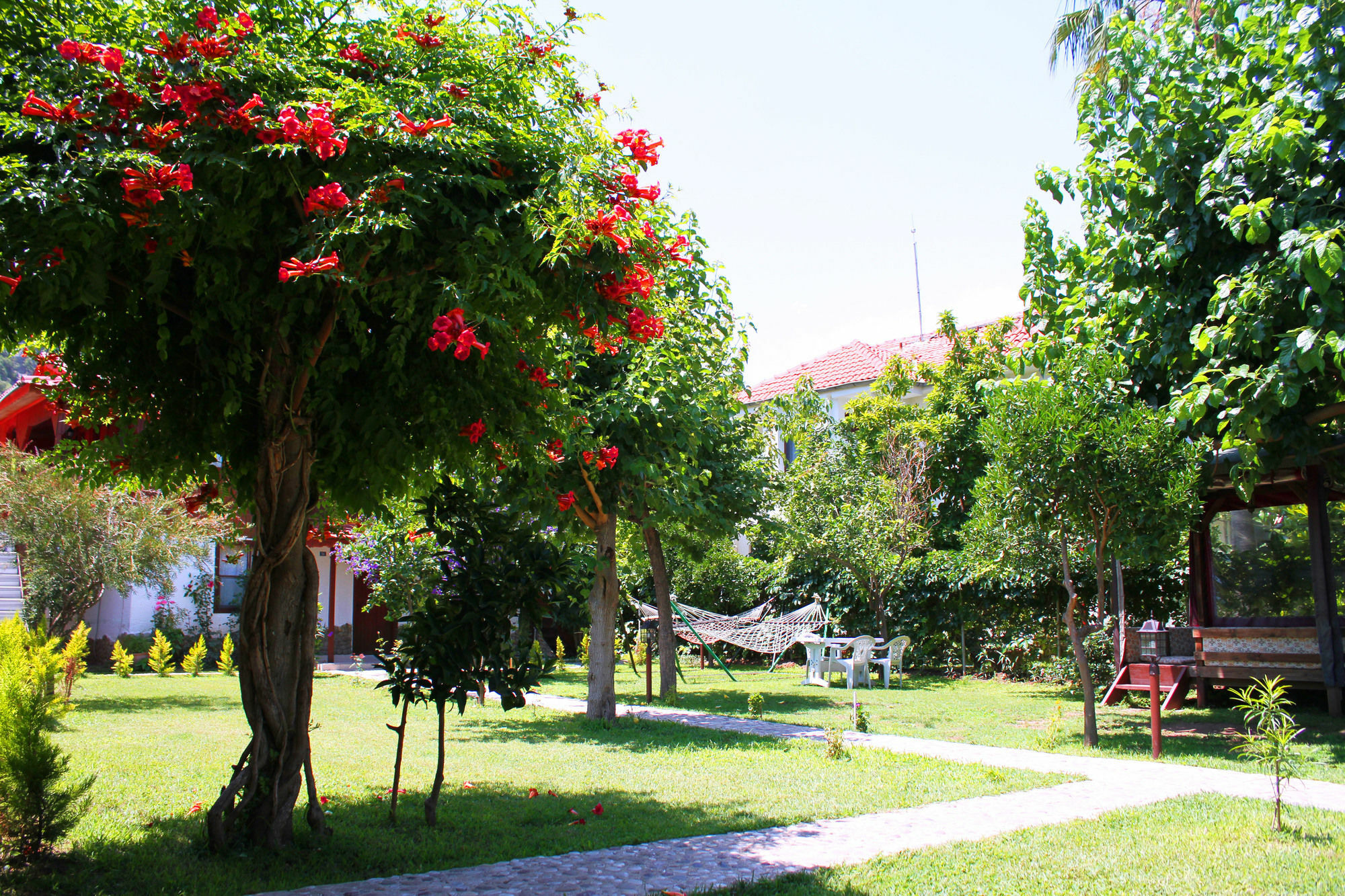 Alican Pension ชิลารึ ภายนอก รูปภาพ
